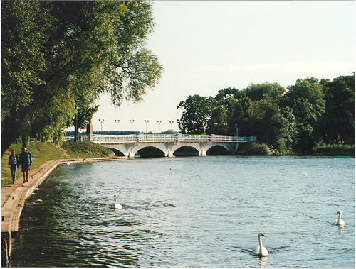 E�k - Widok na wysp�