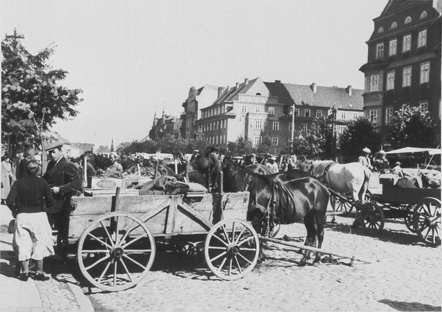 E�k - Targ na rynku